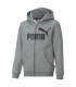 ESS BIG LOGO FZ HOODIE FL B
