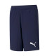 ACTIVE INTERLOCK SHORTS B
