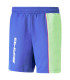 AMG WOVEN SHORTS