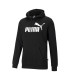 ESS BIG LOGO HOODIE FL