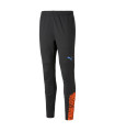 INDIVIDUALCUP TRAINING PANTS