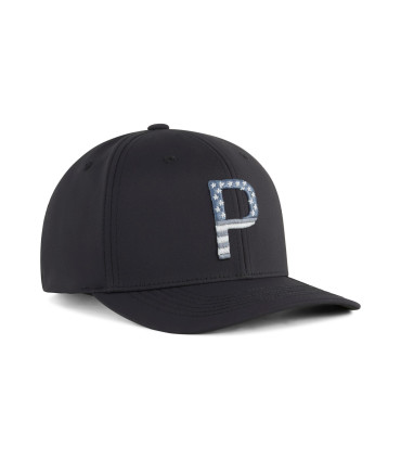 PARS AND STRIPES 6 PANEL