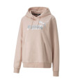 ESS+ METALLIC LOGO  HOODIE FL