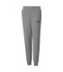 ESS LOGO PANTS FL CL B