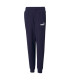 ESS LOGO PANTS FL CL B