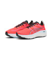 FOREVERRUN NITRO
