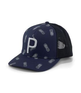PINEAPPLE TRUCKER P CAP