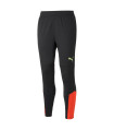 INDIVIDUALFINAL TRAINING PANTS