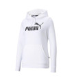 ESS LOGO HOODIE FL