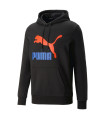CLASSICS LOGO HOODIE TR