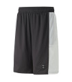 POSTERIZE MESH SHORT